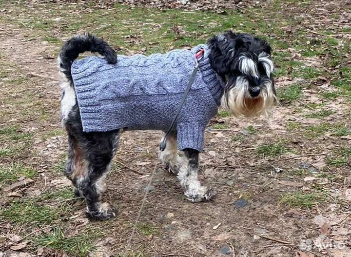 Вязаные свитера для собак. Пошив попон для собак