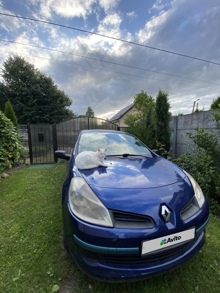 Renault Clio: фото владельца