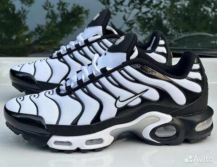 Nike air max tn plus