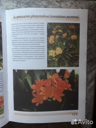 Энциклопедия комнатных растений