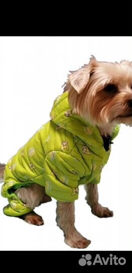 Комбинезон для собак