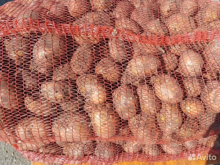 Картофель на еду