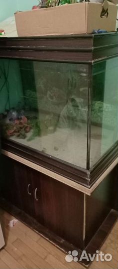 Аквариум