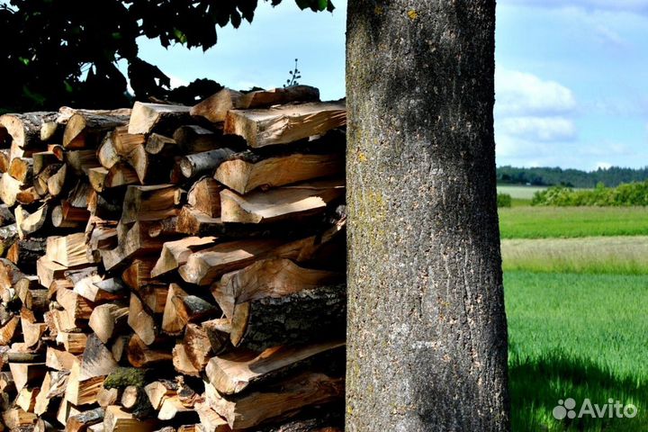 Дрова в баню на дачу