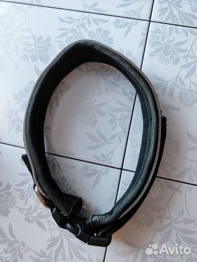 Ошейник для собаки