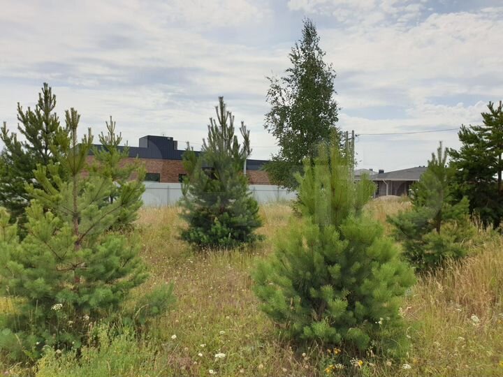 Участок 8 сот. (ИЖС)