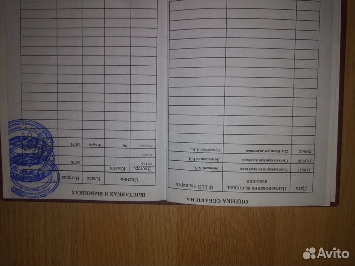 Щенки зсл