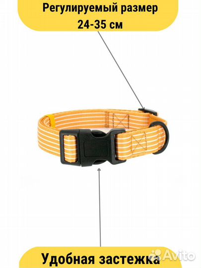 Набор аксессуаров для собак и кошек