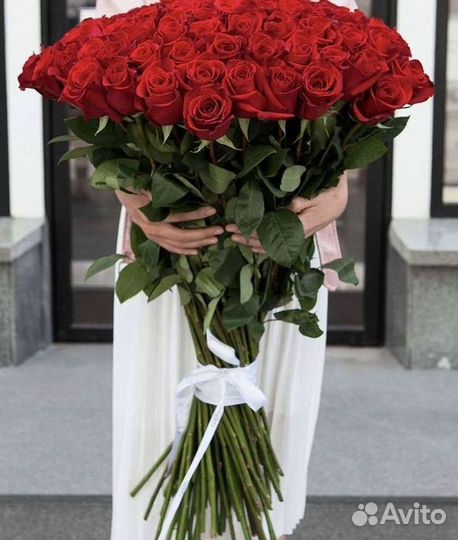 Высокие розы Гигантские розы Доставка цветов
