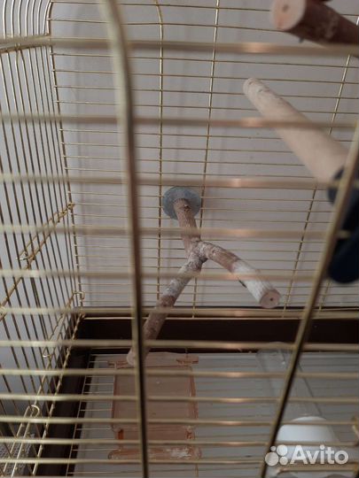 Клетка для попугаев