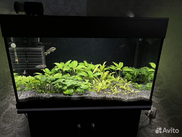 Аквариума с тумбой