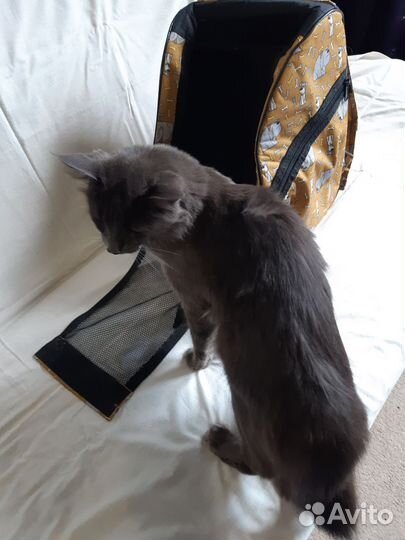 Рюкзак для переноски животных