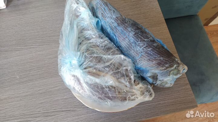 Хариус, улов сентябрь 2024