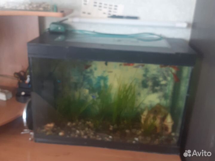 Украшения для аквариума