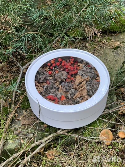 Осенняя композиция