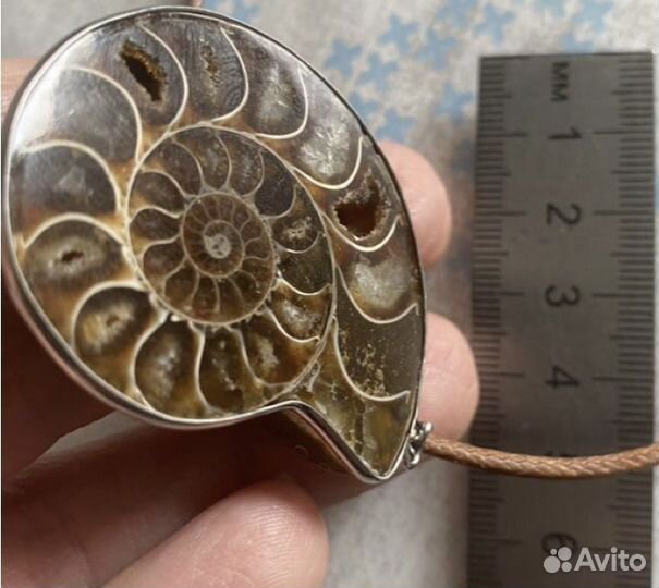 Окаменелость аммонит
