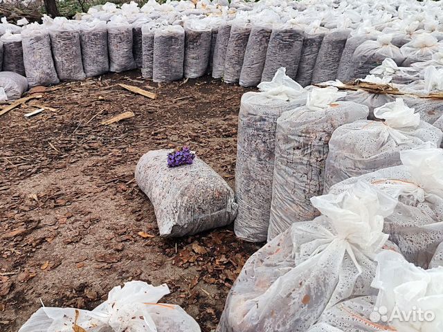 Мульча сосновая кора купить в Березниках | Товары для дома и дачи | Авито