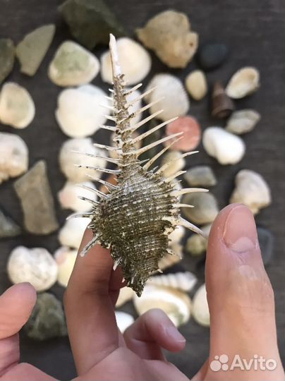 Декорации для аквариума