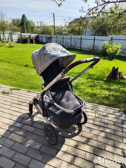 Коляска 2 в 1 Uppababy Cruz V2