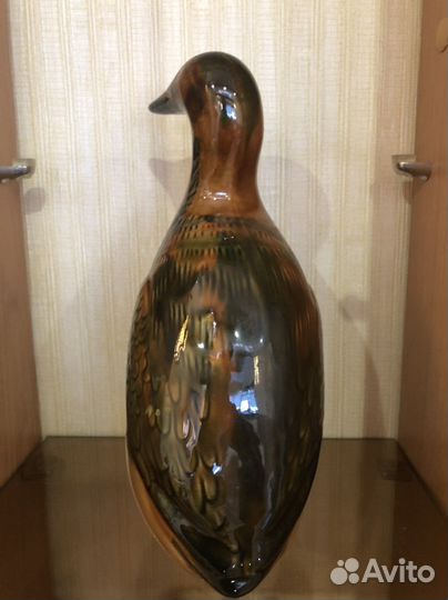 Гагара зик