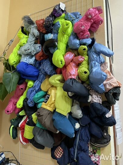 Одежда для животных