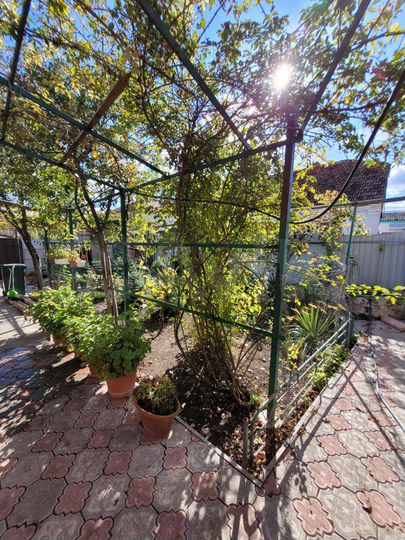 Дом 70 м² на участке 7 сот.