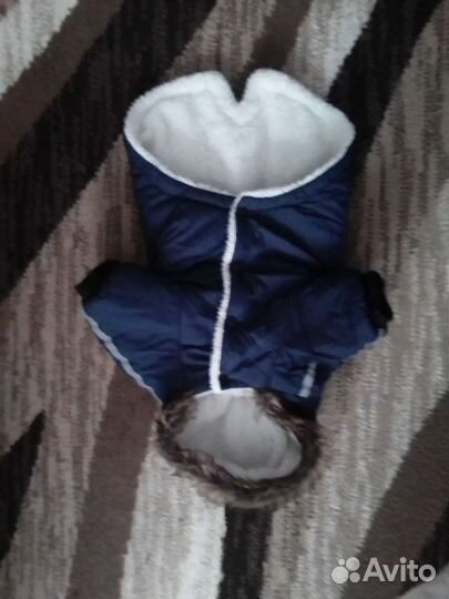 Одежда для маленьких собак