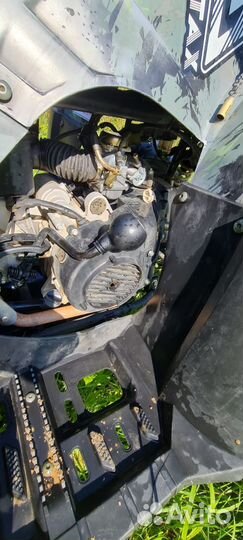 Motax grizlik 200 lux 2024