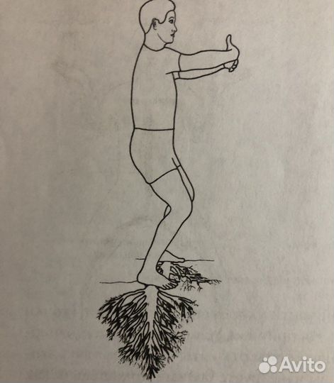 Гвоздестояние, дао медитации, Мне можно доверять