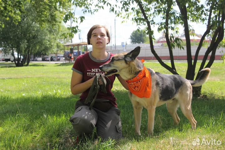 Старый Пашка надеется на чудо