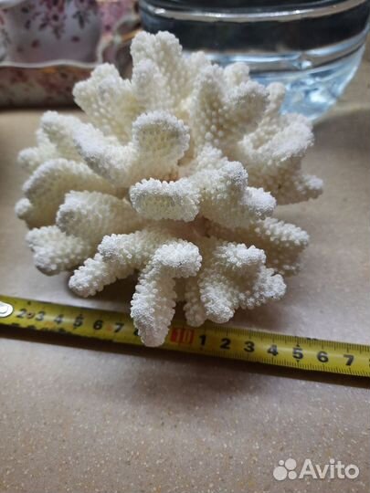 Натуральный декор в аквариум