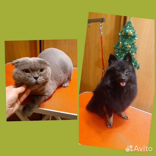 Стрижка, экс. линька собак и кошек