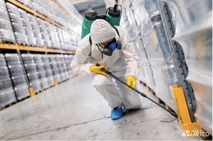 Уничтожение тараканов в Самаре