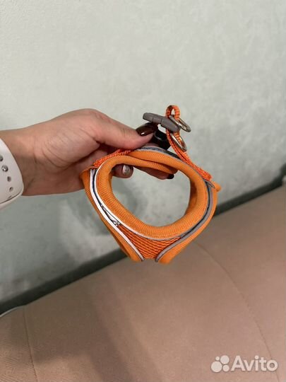 Шлейка для собаки