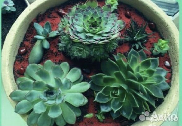 Вазон глиняный для цветов