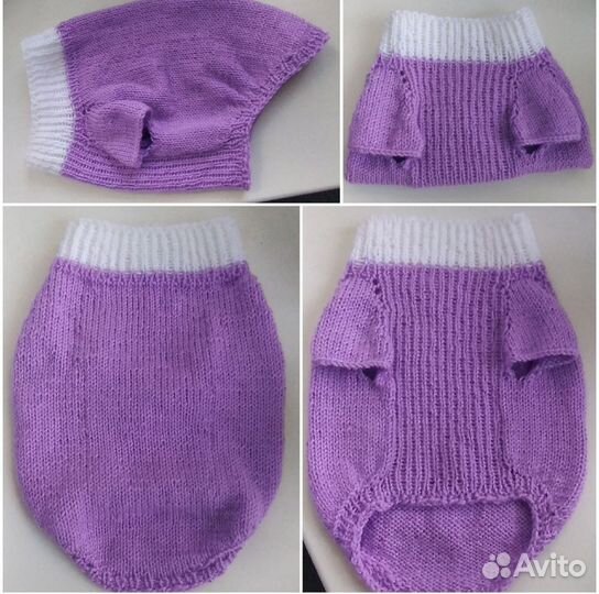 Одежда для собак