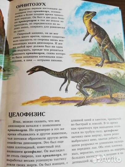 Набор книг о динозаврах