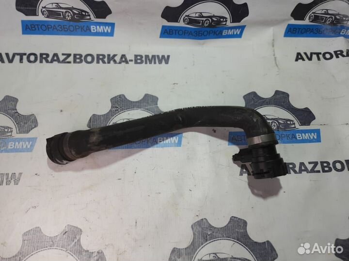 Патрубок радиатора нижний BMW 5-серия E39 LCI