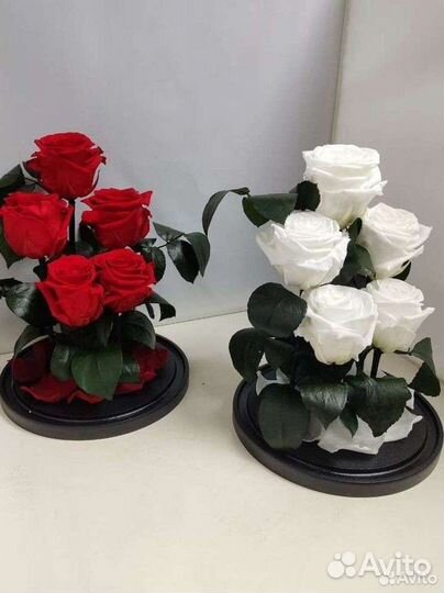 Подарок маме / Роза в колбе оптом