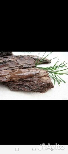 Кора сосны мульча