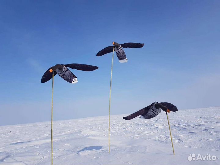 Чучела гусей Махокрыл