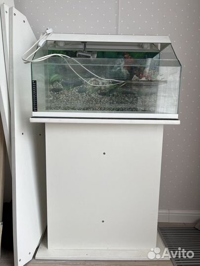 Аквариум для красноухой черепахи