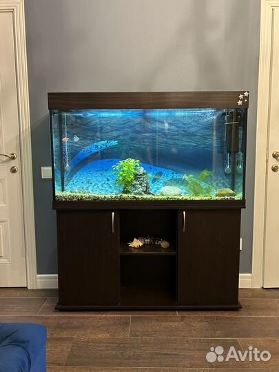 Аквариум с тумбой 220л