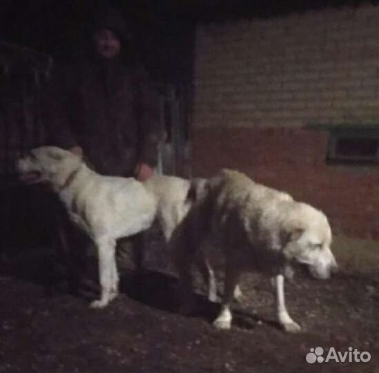 Кабель на вязку