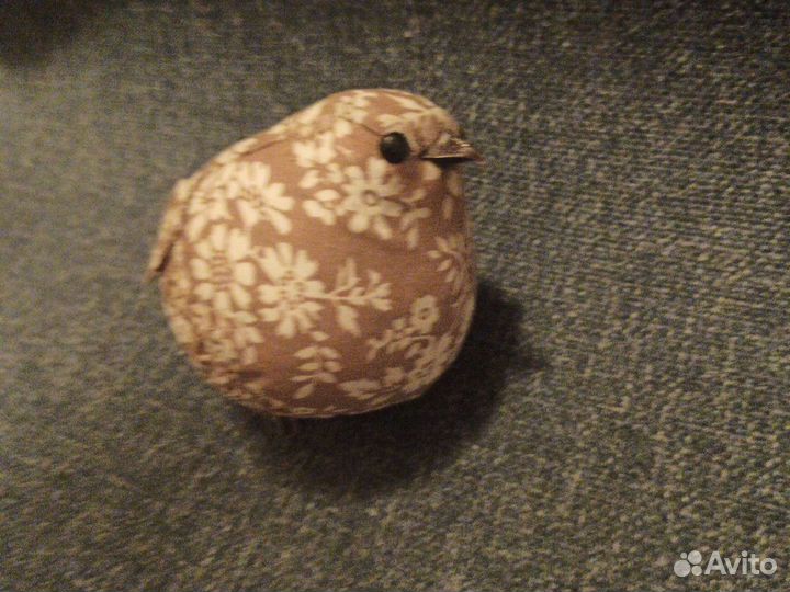 Голубь, птичка декоративная