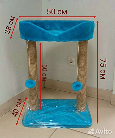 Когтеточка Марсела