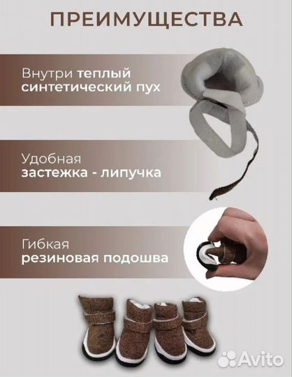 Обувь для собак