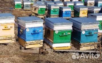 Ульи для пчел бу