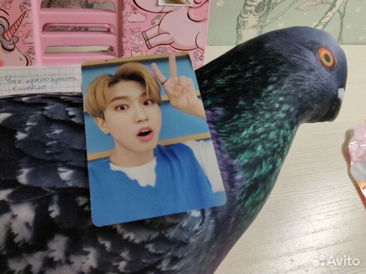 Карты Stray kids