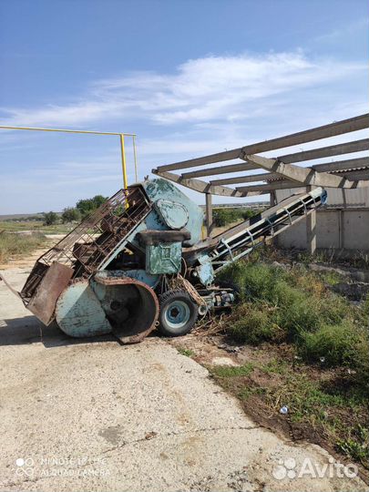Производство шампиньонов
